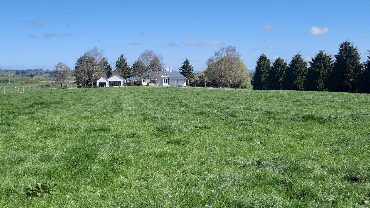 Greenfield Country Homestay Pukeawa Eksteriør billede